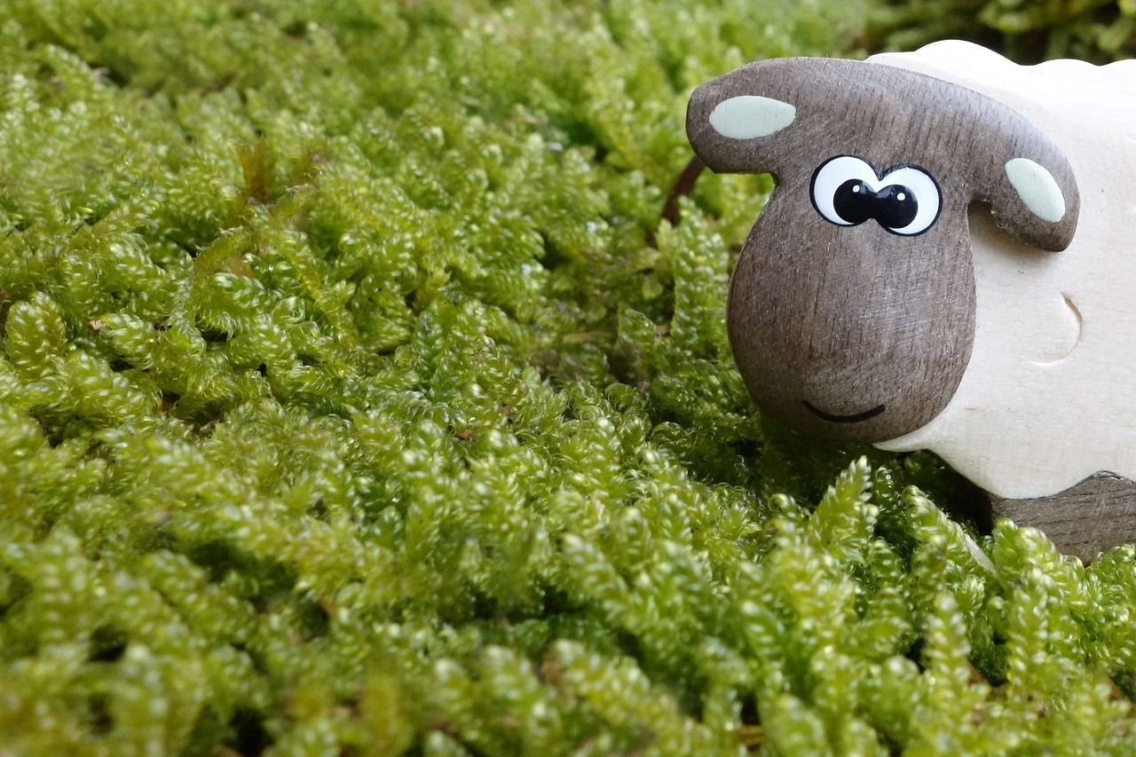 découvrez notre sélection de jouets thématiques qui stimulent l'imagination et favorisent l'apprentissage chez les enfants. des univers variés pour des heures de jeu créatif et enrichissant !