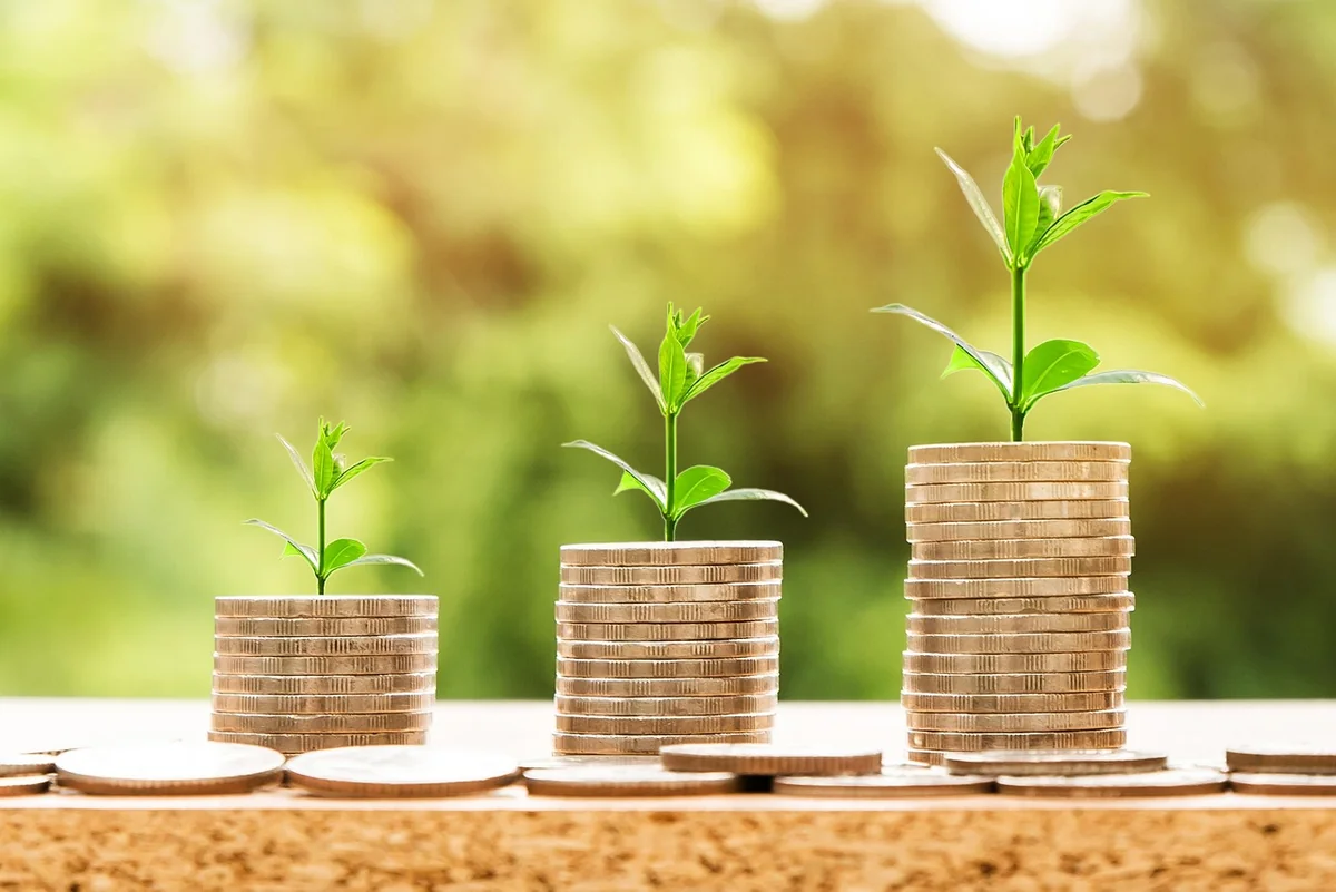 Les 3 facteurs qui influencent vraiment le rendement