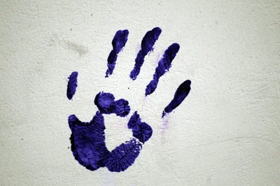Mentions légales