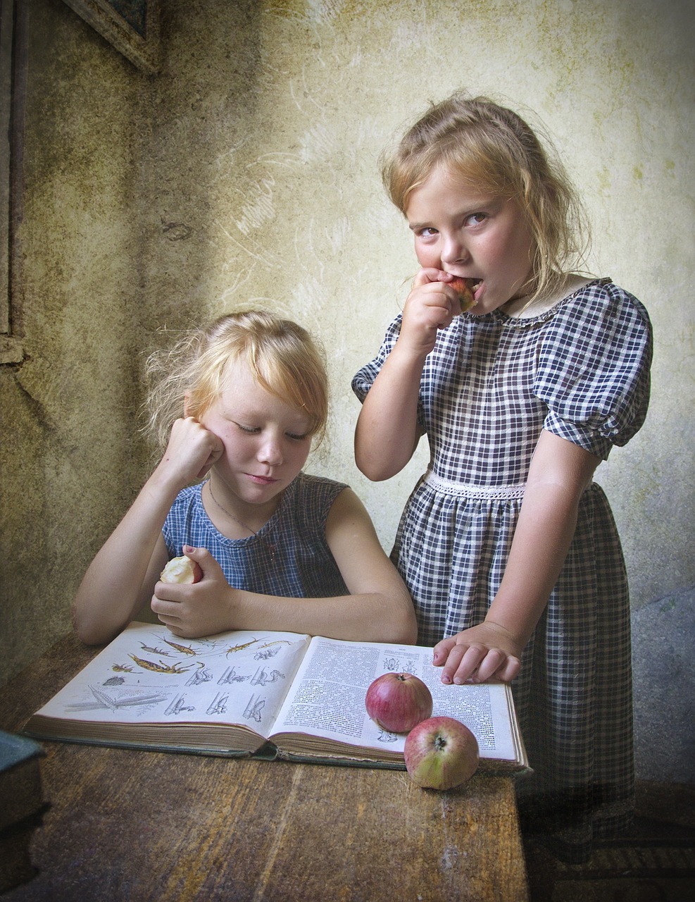 Les meilleures livres pour enfants à offrir