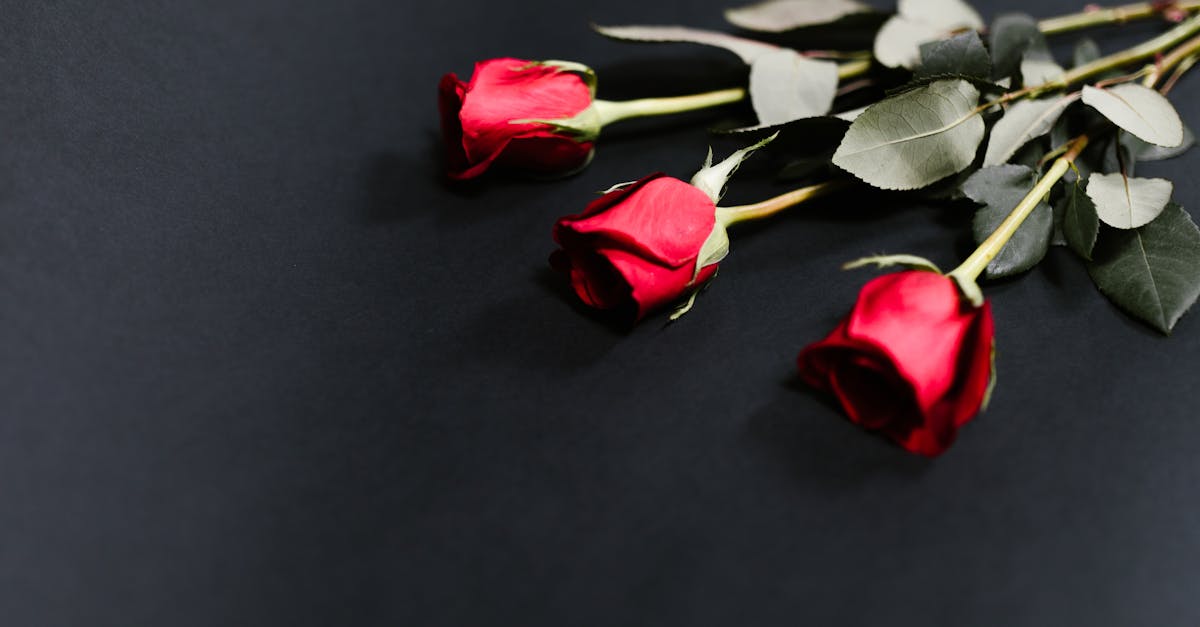 découvrez des idées de cadeaux originales et personnalisées pour tous les occasions. que ce soit pour un anniversaire, un mariage ou simplement pour faire plaisir, trouvez l'inspiration parfaite pour étonner vos proches!