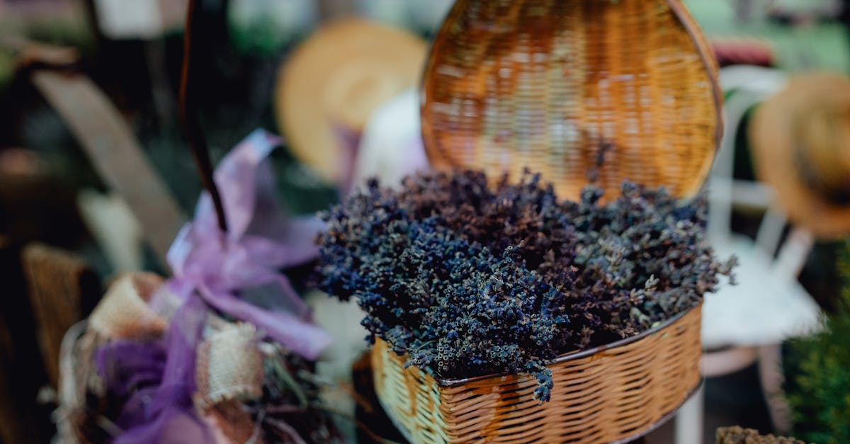 découvrez des cadeaux parfumés uniques qui éveilleront les sens. offrez une expérience olfactive inoubliable avec notre sélection de fragrances raffinées et de créations artisanales, parfaites pour chaque occasion.