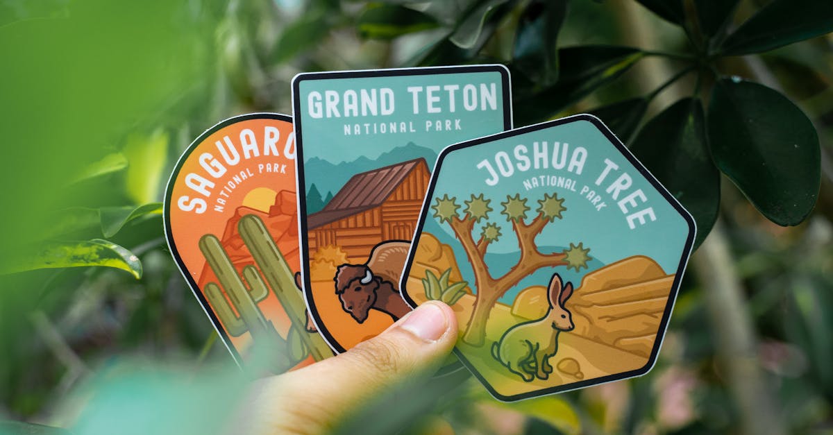 découvrez notre sélection unique de souvenirs de voyage qui capturent l'essence de vos aventures. que ce soit des cartes postales, des objets artisanaux ou des photographies, trouvez l'inspiration pour conserver vos précieux souvenirs et revivre vos plus beaux moments de voyage.
