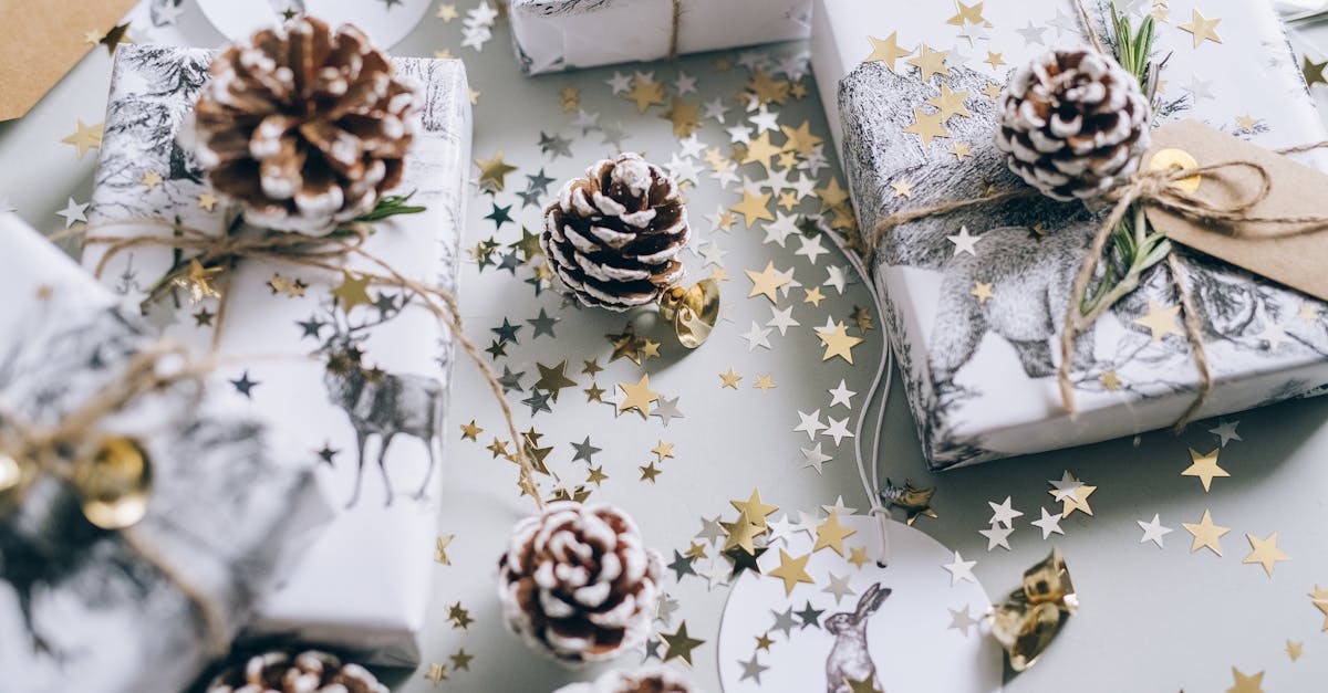 découvrez des idées créatives de cadeaux diy uniques et personnalisés pour toutes les occasions. apprenez à réaliser des présents faits main qui feront plaisir à vos proches, avec des tutoriels simples et des astuces ingénieuses pour chaque niveau de compétence.