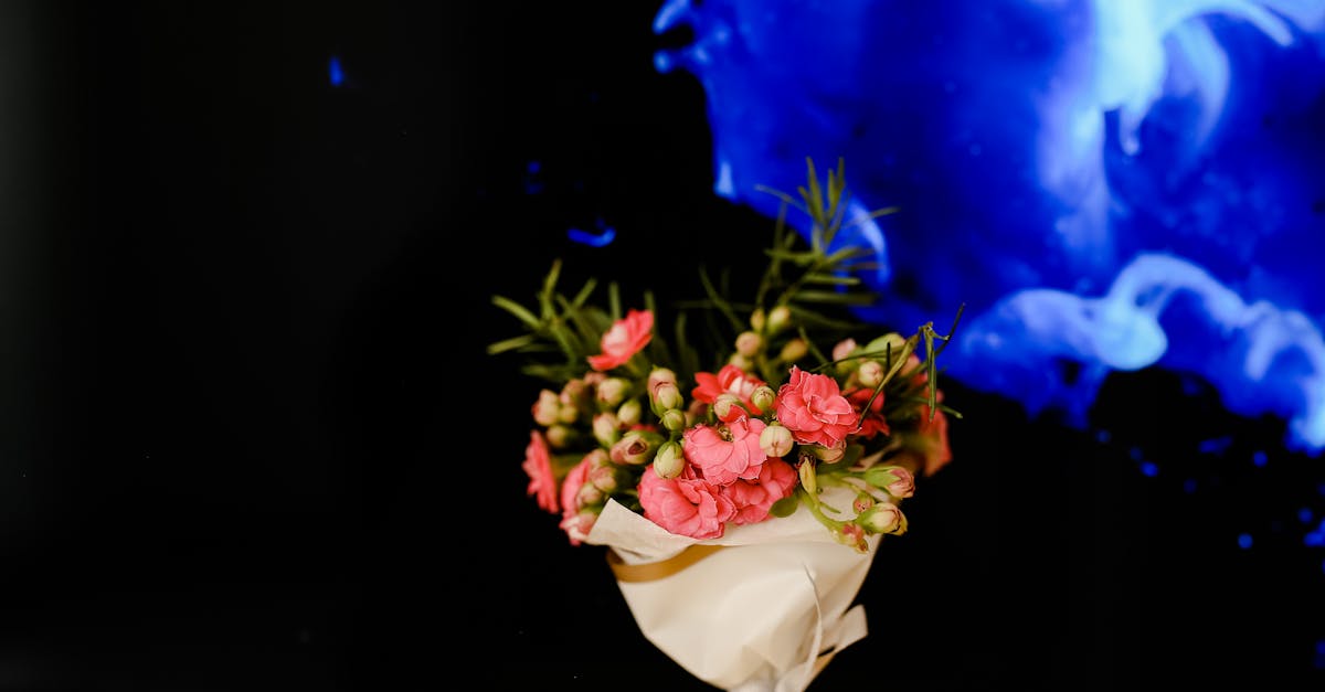 découvrez notre sélection de cadeaux sensoriels, conçus pour éveiller les sens et offrir une expérience unique. idéals pour toutes les occasions, ces cadeaux stimulent les papilles, la vue et le toucher, apportant joie et bien-être à vos proches.