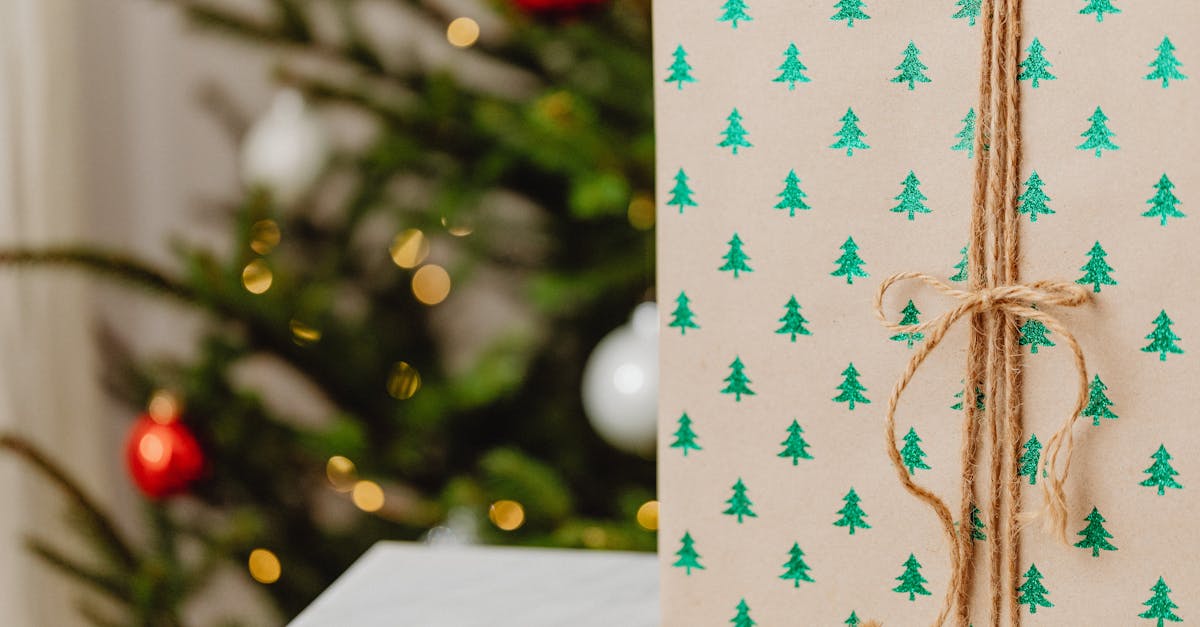 découvrez notre sélection de cadeaux durables qui allient éthique et esthétisme. offrez des présents respectueux de l'environnement et encouragez un mode de vie éco-responsable tout en surprenant vos proches. faites le choix de la durabilité avec des cadeaux qui font la différence.
