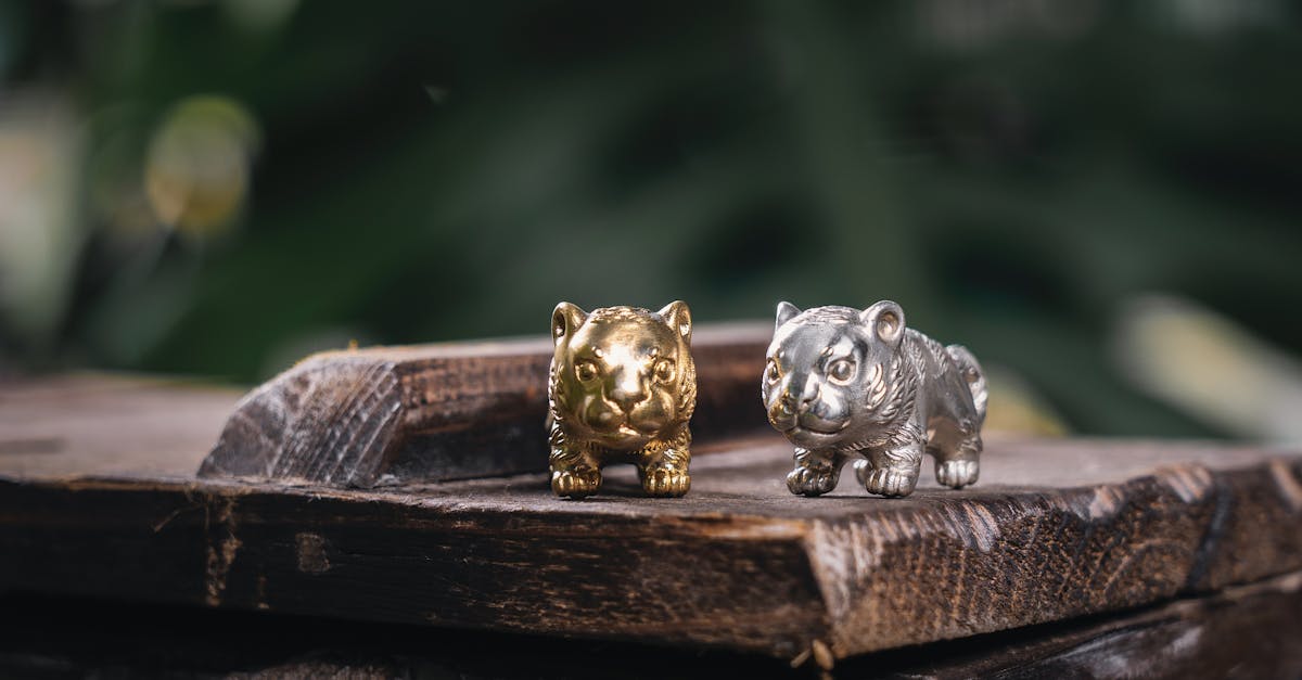 découvrez une sélection de cadeaux exotiques uniques pour surprendre vos proches. idées originales venues du monde entier pour offrir une expérience inoubliable.
