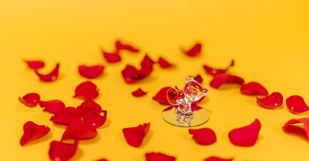 découvrez des idées de cadeaux originales et inspirantes pour toutes les occasions. que ce soit pour un anniversaire, un mariage ou une fête, trouvez le cadeau parfait qui fera plaisir à vos proches.