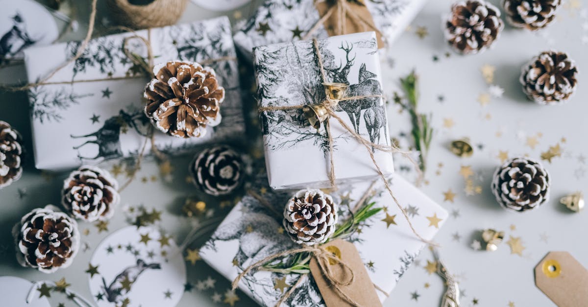 découvrez une sélection unique de cadeaux nature pour surprendre vos proches : objets écologiques, accessoires bien-être, idées originales inspirées par la nature. offrez un cadeau écoresponsable et authentique !