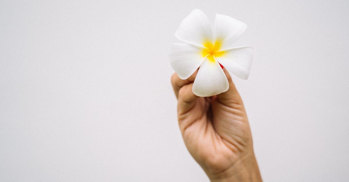 découvrez notre sélection de cadeaux zen : objets apaisants, idées de relaxation et accessoires pour favoriser le bien-être et l’harmonie au quotidien. offrez la sérénité !