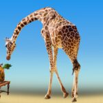 découvrez le cadeau de naissance parfait pour célébrer l'arrivée d'un nouveau-né, alliant douceur, originalité et tendresse.