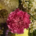 d&eacute;couvrez des id&eacute;es de cadeaux de bapt&ecirc;me uniques et significatifs pour c&eacute;l&eacute;brer ce moment sp&eacute;cial avec vos proches.