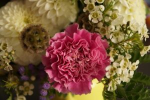 d&eacute;couvrez des id&eacute;es de cadeaux de bapt&ecirc;me uniques et significatifs pour c&eacute;l&eacute;brer ce moment sp&eacute;cial avec vos proches.