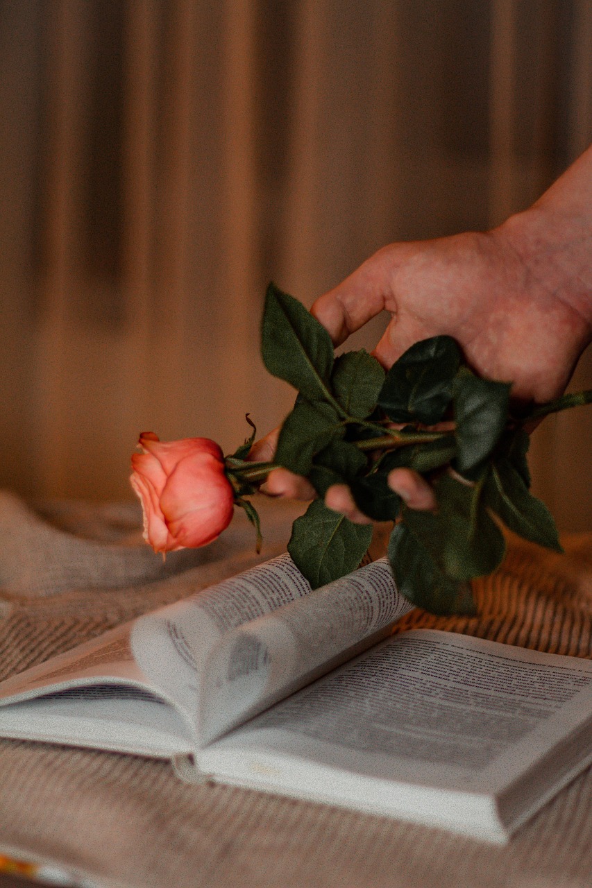 d&eacute;couvrez notre s&eacute;lection de cadeaux &eacute;ducatifs parfaits pour stimuler l'apprentissage et la cr&eacute;ativit&eacute; des enfants de tous &acirc;ges.