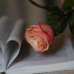 d&eacute;couvrez notre s&eacute;lection de cadeaux &eacute;ducatifs parfaits pour stimuler l'apprentissage et la curiosit&eacute; des enfants tout en s'amusant.