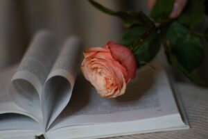 d&eacute;couvrez notre s&eacute;lection de cadeaux &eacute;ducatifs parfaits pour stimuler l'apprentissage et la curiosit&eacute; des enfants tout en s'amusant.